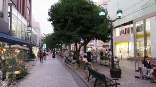 40年前はどぶ川でした