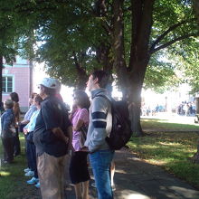 緑の木漏れ日が素敵でした。