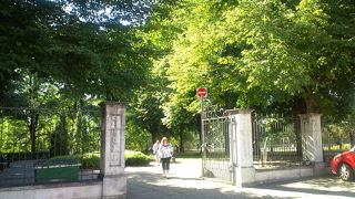 トームペア城の森も素敵でした。