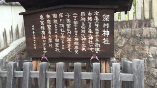 赤い鳥居が連なっています