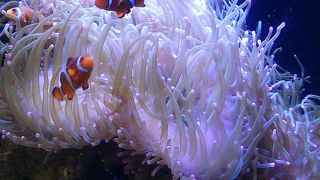 空気が美味しく、動物たちも生き生きしておりました♪