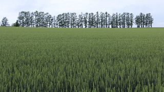 ビューポイント「マイルドセブンの丘」