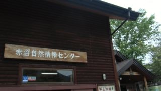 日光の自然の学習に