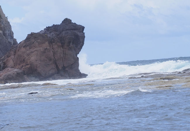 かえる島