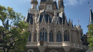 子どもから大人まで楽しめる