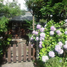 本殿向かって右手にはこんな小さな祠もありましたが…