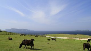 絶景に癒されるお勧めスポット