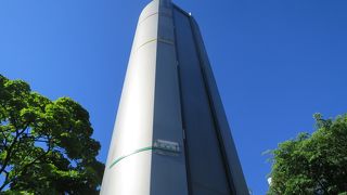 草、生えてるよ