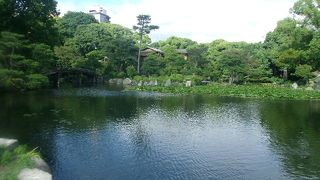 広さにびっくりです！！！