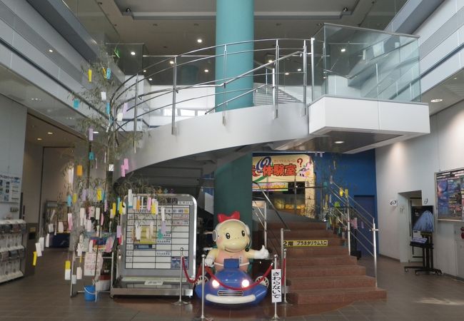 ディスカバリーパーク焼津 クチコミ アクセス 営業時間 焼津 フォートラベル