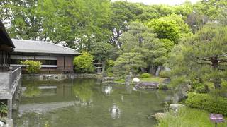 もうお庭が美しいの一言！