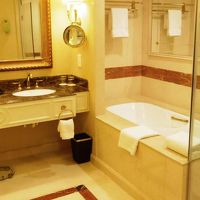 バスタブと洗面台。写真右のタオルの所はシャワーブース。