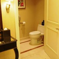 洗面台とWCと鏡台。広々です。