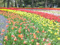 木曽三川公園センター