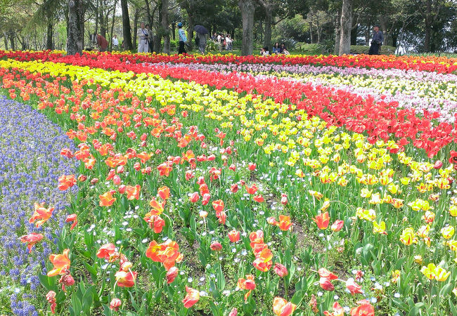 木曽三川公園センター