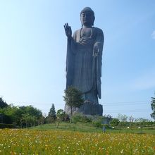 大きさに圧巻です！
