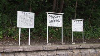 森の中に佇む緑色の駅