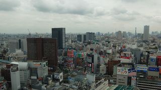 写真ギャラリーでワクワク