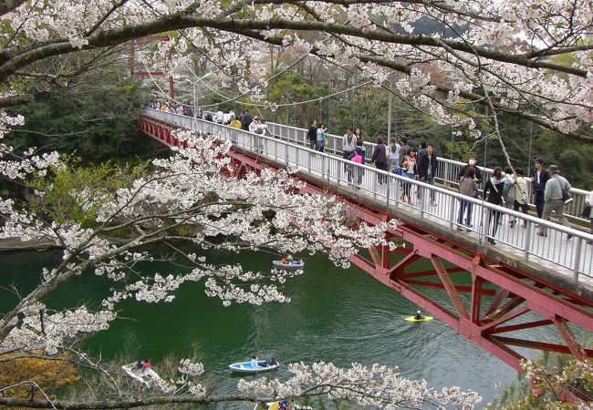 桜淵公園 クチコミ アクセス 営業時間 新城 フォートラベル