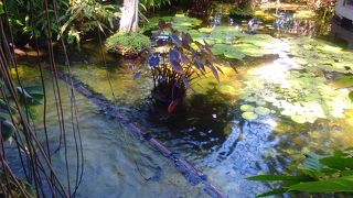 大人250円・・・気軽に楽しめます