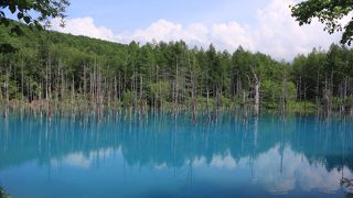 絶景「青い池」