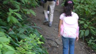 一度登ってみたかった場所