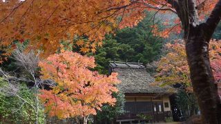 秋の紅葉の里はハイライト