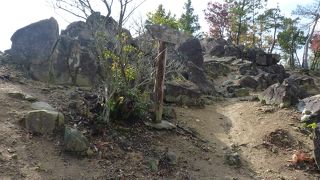 山頂からの眺めは最高