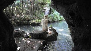 庭園がすばらしい