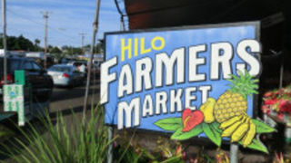 オアフと違いのんびり見て回れます！