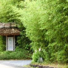 竹林に囲まれた宿