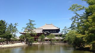 大仏殿を眺めるにも良い場所!!