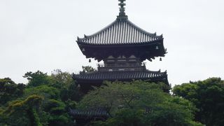 四季折々の自然が楽しめる日本庭園