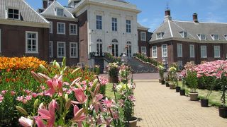 パレスハウステンボスの宮殿前庭にはゆりの花園でした。「べスサイユのばら」展がありました。