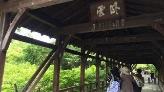 自転車も通る地元の道 ♪