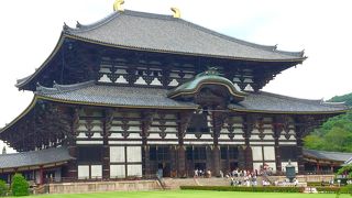 奈良の大仏は見なきゃ損！