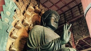 奈良の一番の見どころ！