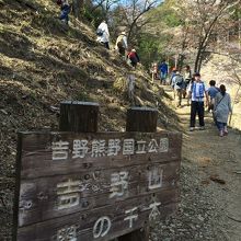 桜を見に登山客は多いです