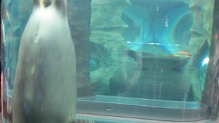 コンパクトでも充実した動物園