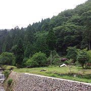 のんびり歩くだけでも気持ちのいい街道