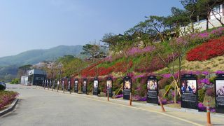 韓流ドラマ好きは行くべき