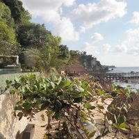 プールからの景色