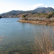 自然一杯で、静かで見所の多い公園