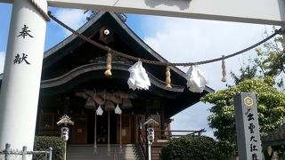 ヌシカンさんに会えず、、