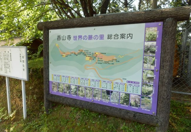 香山寺市民の森