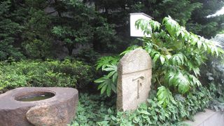 葉が邪魔になっていて説明板が読みにくかったです