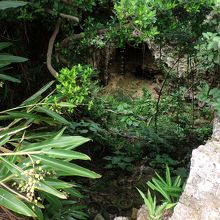 有川中将以下将兵自決の壕。