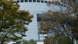 中学生以下は無料で入館できる