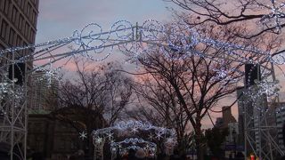 クリスマスの時期の大阪光の祭典