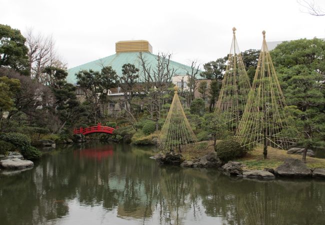 奥に両国国技館の屋根が見えます